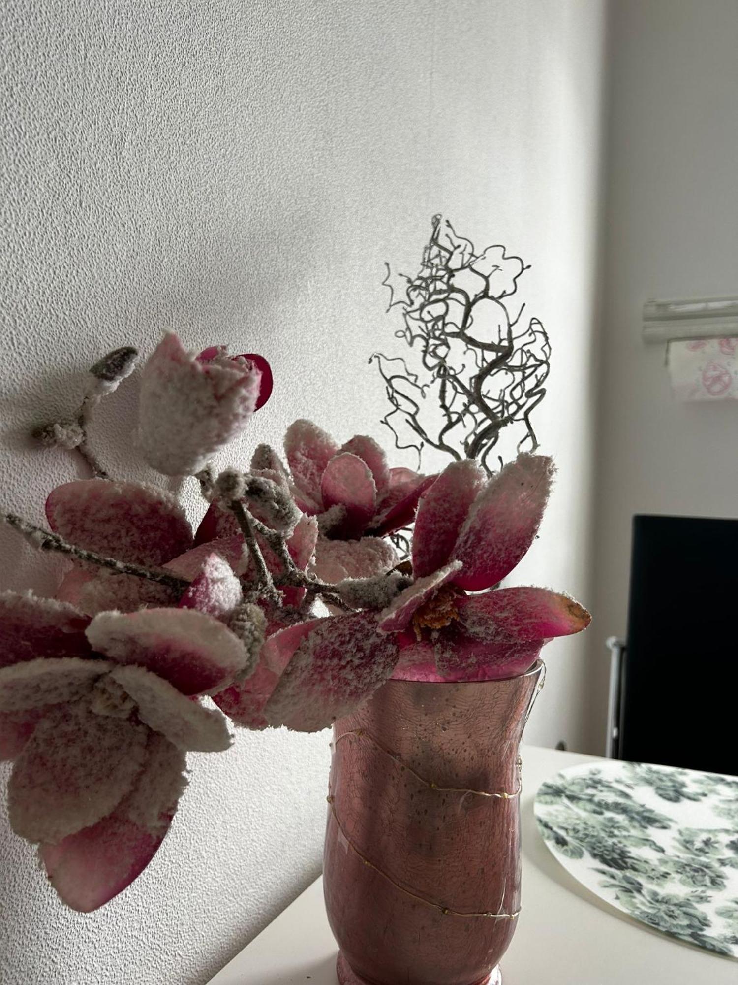 Gemuetliche Ferienwohnung-Appartement Bad Oeynhausen Ngoại thất bức ảnh